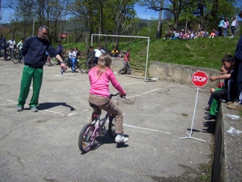 Спорт 2011